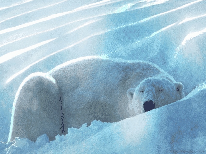 杨女士成功案例