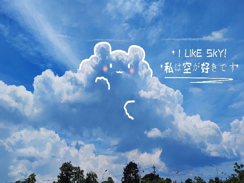 张女士成功案例